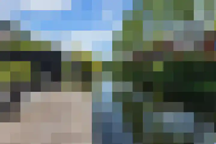 Schildmos 44 Alblasserdam thumbnail 42