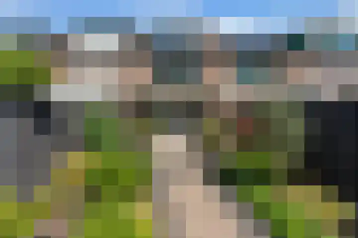 Schildmos 44 Alblasserdam thumbnail 44