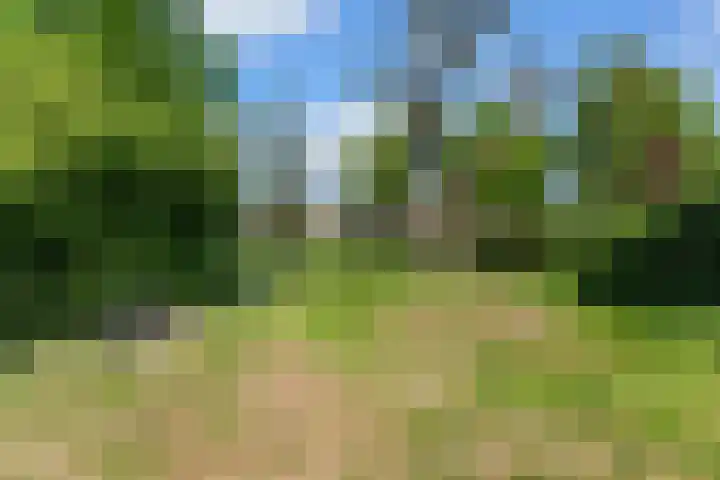 Schildmos 44 Alblasserdam thumbnail 48