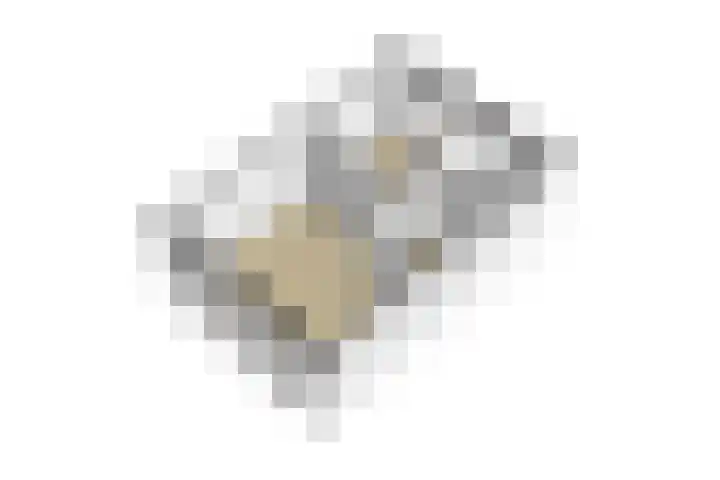 Schildmos 44 Alblasserdam thumbnail 52