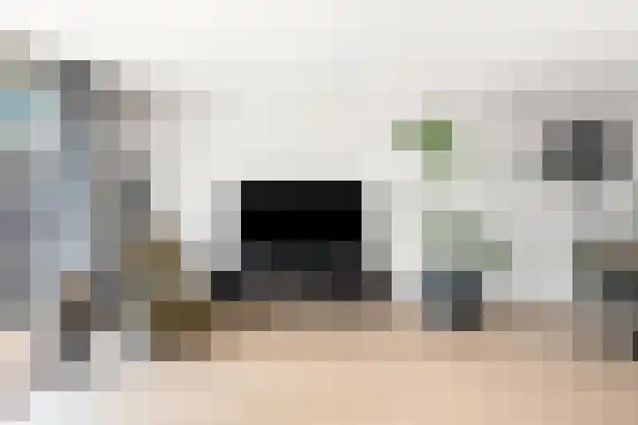 Schildmos 44 Alblasserdam thumbnail 7