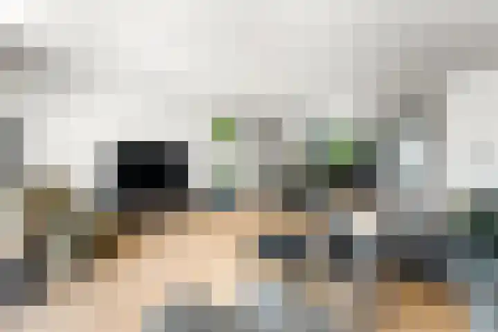 Schildmos 44 Alblasserdam thumbnail 8
