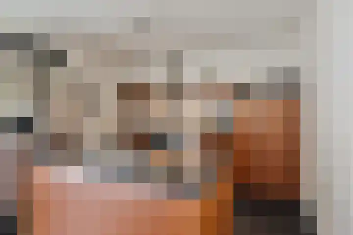 Schildruwe 8 Maastricht thumbnail 10