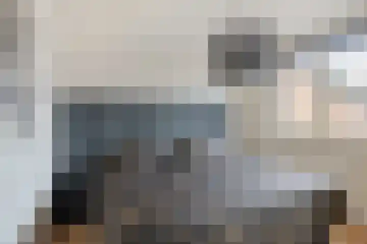 Schildruwe 8 Maastricht thumbnail 12