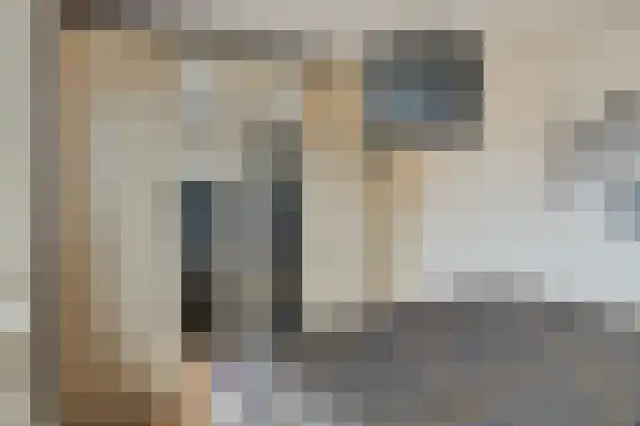 Schildruwe 8 Maastricht thumbnail 13