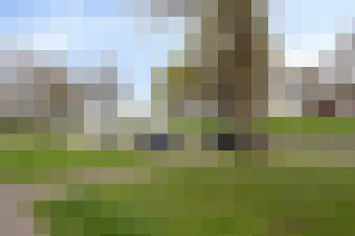 Schildruwe 8 Maastricht thumbnail 18