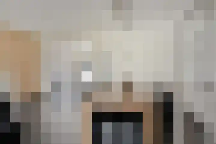 Schildruwe 8 Maastricht thumbnail 4