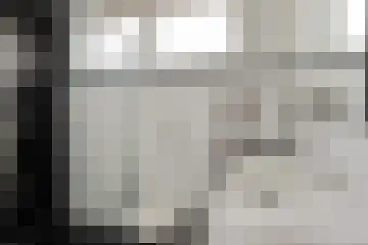 Schildruwe 8 Maastricht thumbnail 5