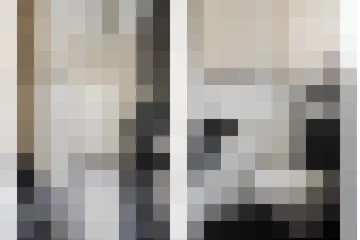 Schildruwe 8 Maastricht thumbnail 7