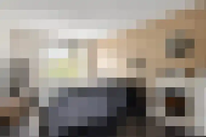 Schildruwe 8 Maastricht thumbnail 9