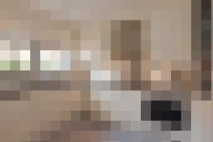 Schildstraat 6 Delfgauw thumbnail 13