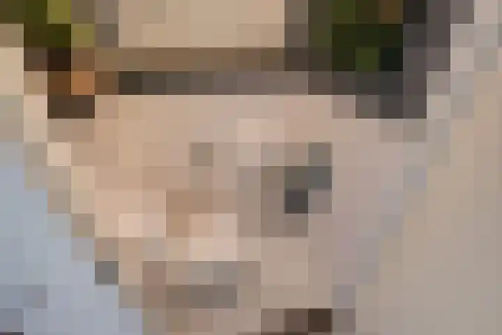 Schildstraat 6 Delfgauw thumbnail 16