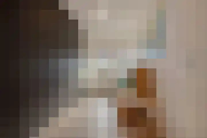 Schildstraat 6 Delfgauw thumbnail 22