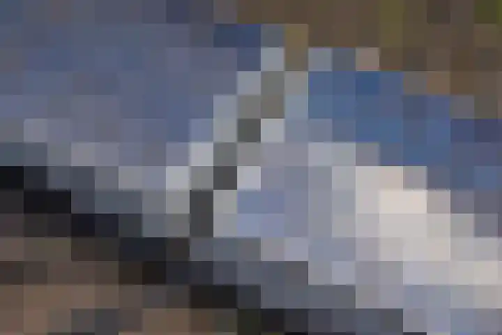 Schildstraat 6 Delfgauw thumbnail 33