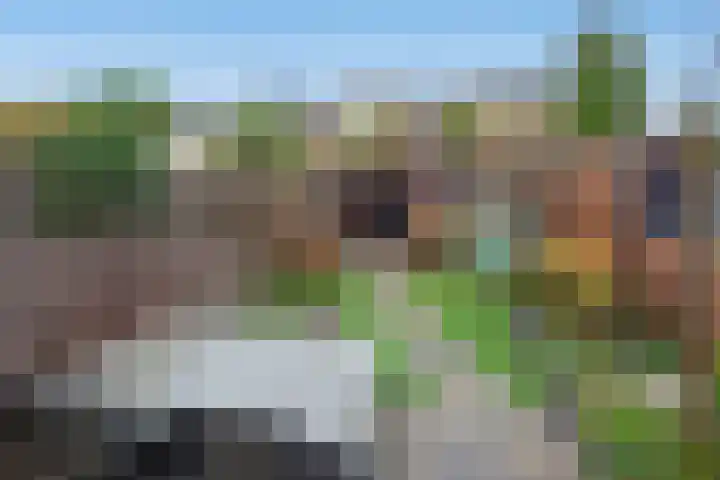 Schildstraat 6 Delfgauw thumbnail 7