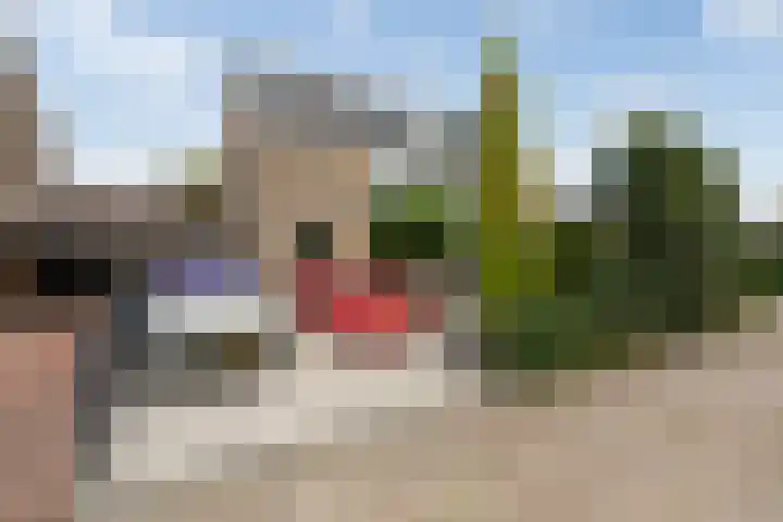 Schildtale 9 Maasland
