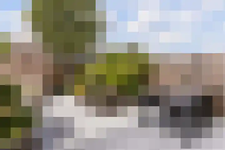 Schillingdreef 13 Woerden thumbnail 30