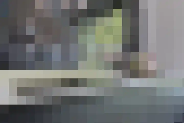 Schimmerweg 11 Emmen thumbnail 20