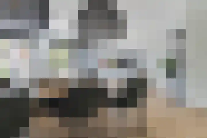 Schimmerweg 11 Emmen thumbnail 24