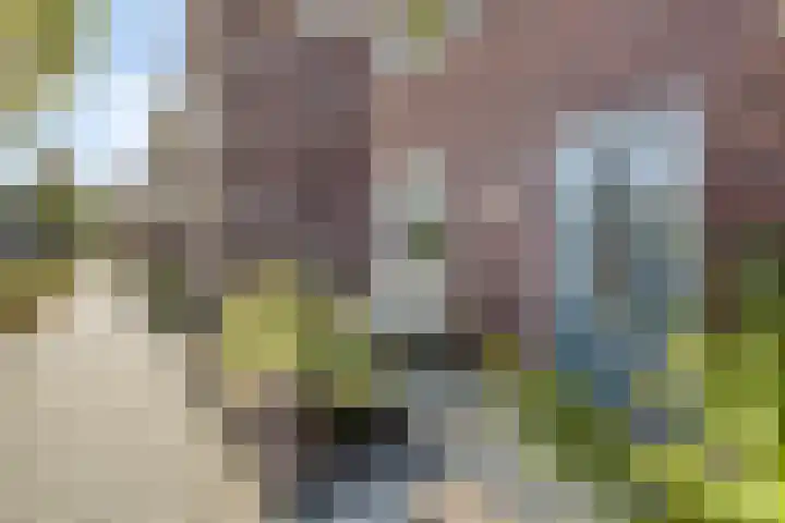 Schipbeekstraat 14 Deventer thumbnail 39
