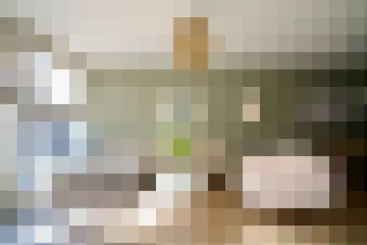 Schiphollaan 13 Nootdorp thumbnail 11