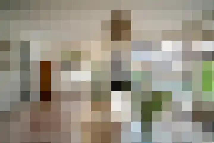 Schiphollaan 13 Nootdorp thumbnail 13