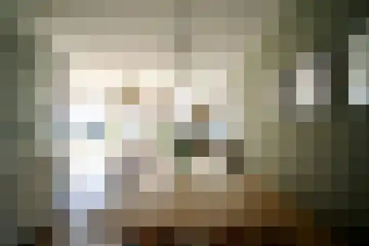 Schiphollaan 13 Nootdorp thumbnail 15
