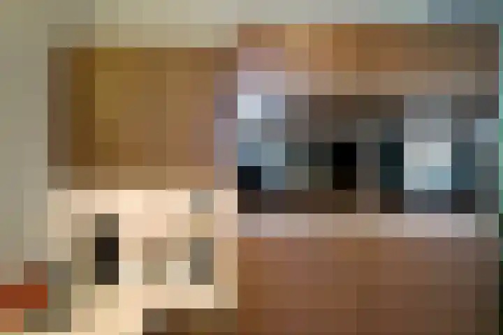 Schiphollaan 13 Nootdorp thumbnail 18