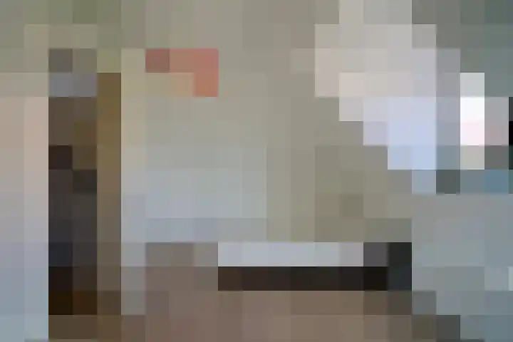 Schiphollaan 13 Nootdorp thumbnail 28