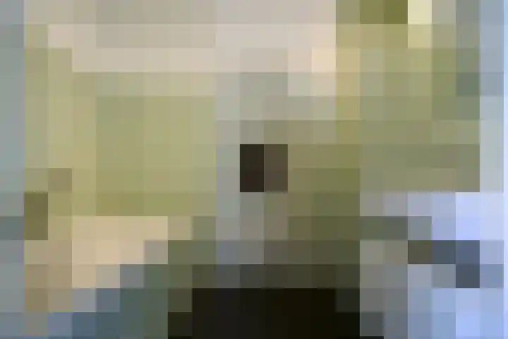 Schiphollaan 13 Nootdorp thumbnail 29