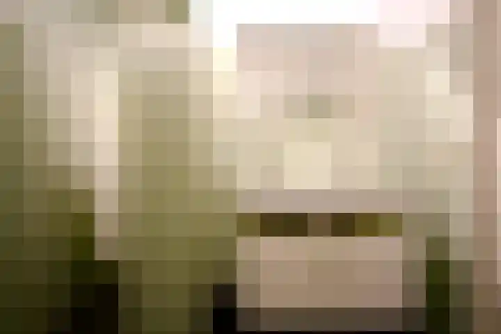 Schiphollaan 13 Nootdorp thumbnail 30
