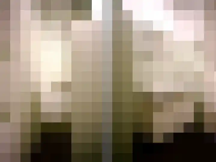 Schiphollaan 13 Nootdorp thumbnail 31