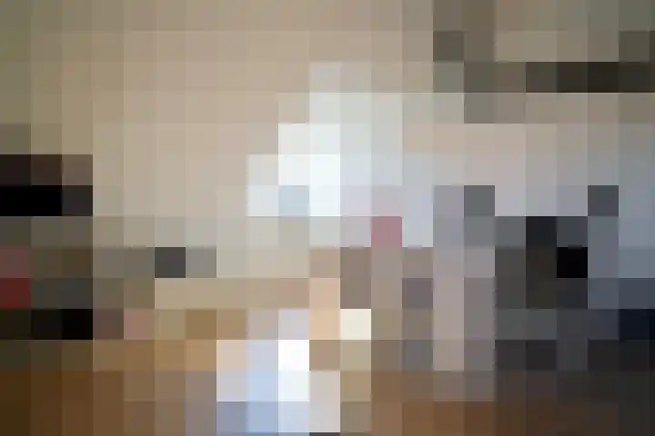 Schiphollaan 13 Nootdorp thumbnail 33
