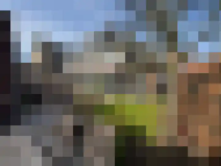 Schiphollaan 13 Nootdorp thumbnail 37