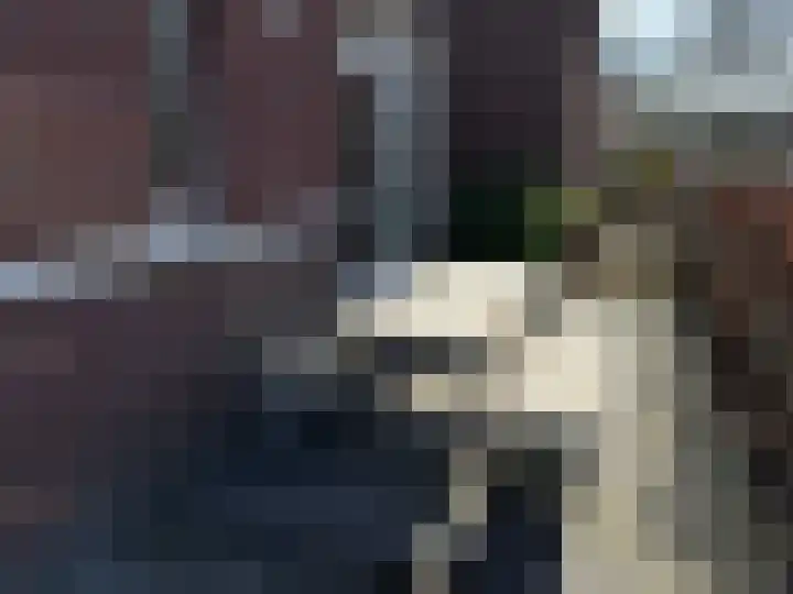 Schiphollaan 13 Nootdorp thumbnail 39