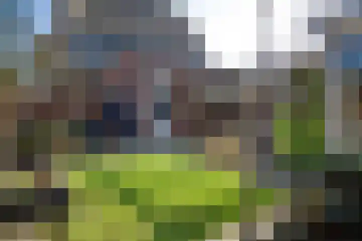 Schiphollaan 13 Nootdorp thumbnail 4
