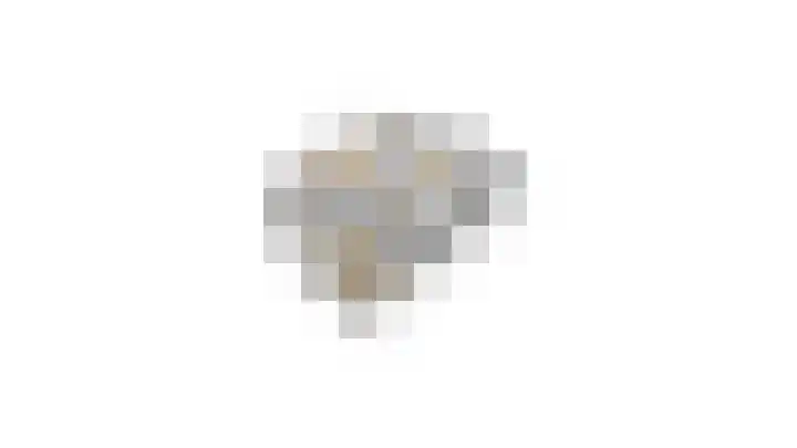 Schiphollaan 13 Nootdorp thumbnail 47