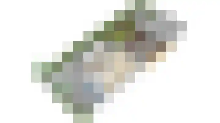 Schiphollaan 13 Nootdorp thumbnail 49