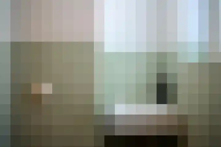 Schiphollaan 13 Nootdorp thumbnail 8