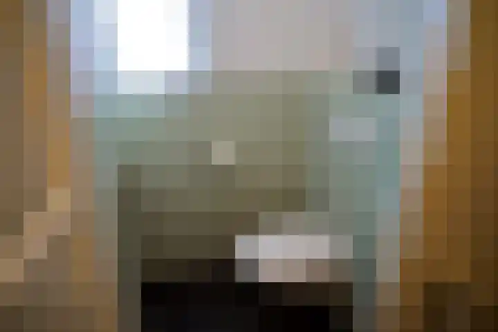 Schiphollaan 13 Nootdorp thumbnail 9