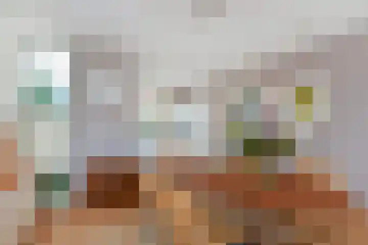 Schiphollaan 17 Nootdorp thumbnail 12