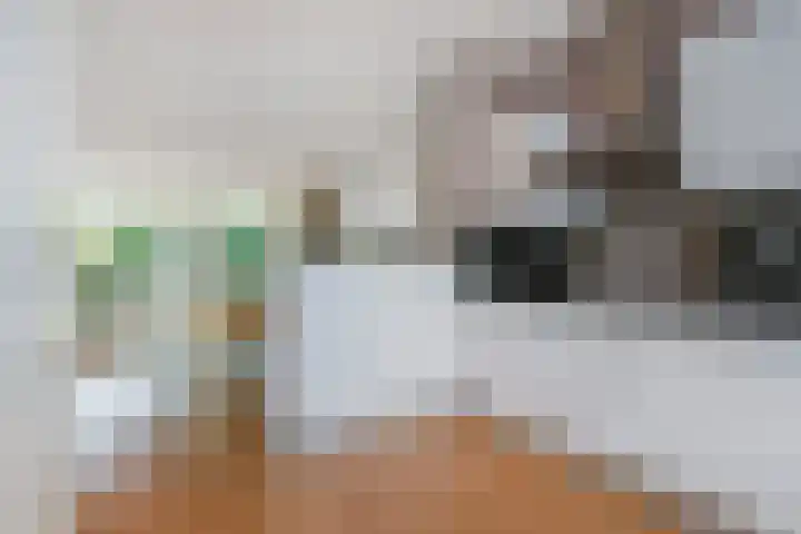 Schiphollaan 17 Nootdorp thumbnail 15