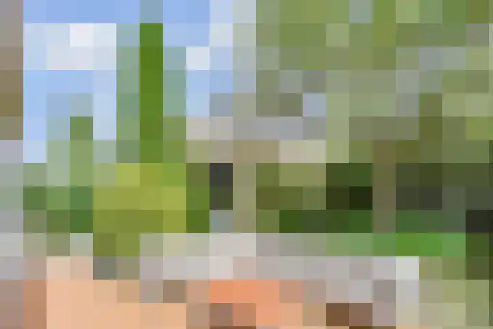 Schiphollaan 17 Nootdorp thumbnail 19