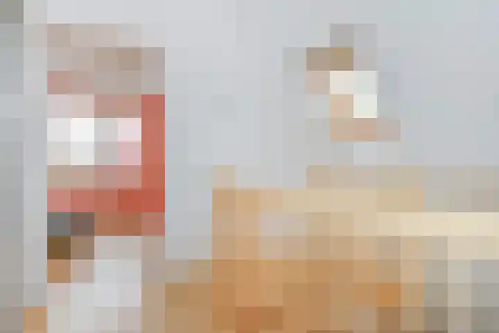 Schiphollaan 17 Nootdorp thumbnail 39