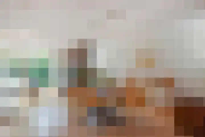 Schiphollaan 17 Nootdorp thumbnail 5