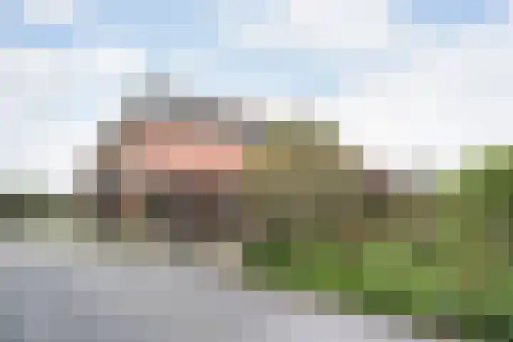 Schiphorsterstraat 6 Toldijk thumbnail 30