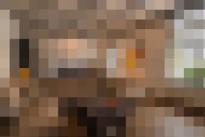 Schiphorsterstraat 6 Toldijk thumbnail 6