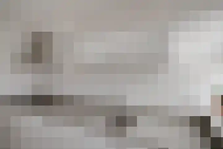 Schipper 19 Diever thumbnail 10