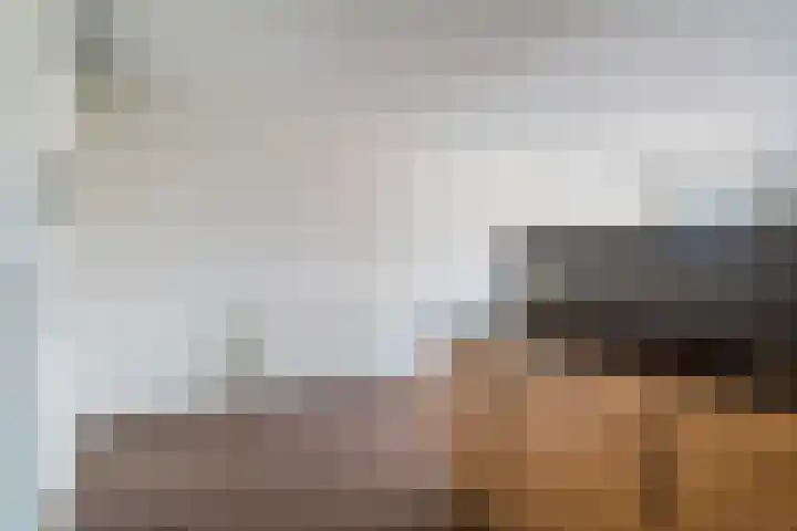 Schipper 19 Diever thumbnail 15
