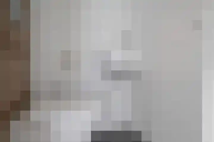 Schipper 19 Diever thumbnail 16